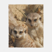 Meerkat 39 fleecedecke (Vorderseite)