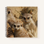 Meerkat 39 notizblock (Vorderseite)