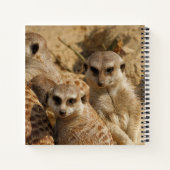 Meerkat 39 notizblock (Rückseite)