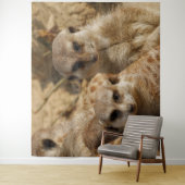 Meerkat 39 wandteppich (Beispiel)