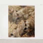 Meerkat 39 wandteppich (Vorderseite)