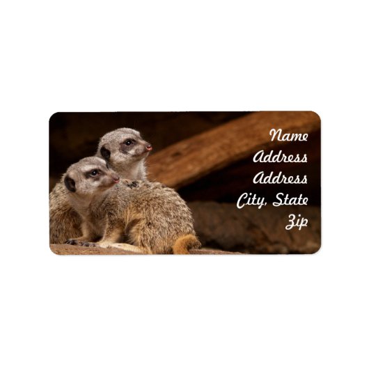 Meerkat Address Sticker Adressaufkleber (Vorne)