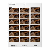 Meerkat Address Sticker Adressaufkleber (Vorne)