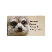 Meerkat Adressaufkleber (Vorne)