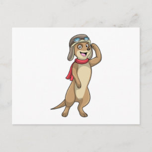 Meerkat als Pilot mit Pilotin Postkarte