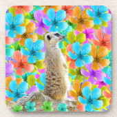 Meerkat And Multi Coloured Blossoms Getränkeuntersetzer (Vorderseite)