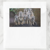Meerkat Animal Safari Africa Niedlich Suricate Rechteckiger Aufkleber (Tasche)