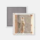 Meerkat at Attention Magnet (Vorderseite/Rückseite)