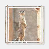 Meerkat at Attention Magnet (Vorne)