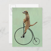Meerkat auf Black Penny Farthing 2 Postkarte (Vorne/Hinten)