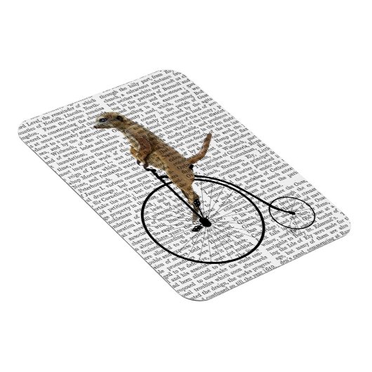 Meerkat auf Black Penny Farthing Magnet (Rechte Seite)