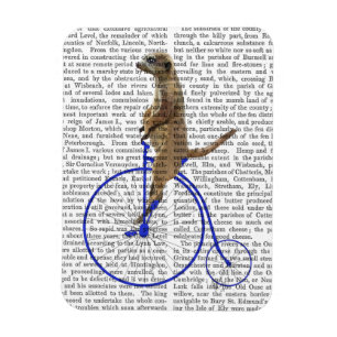 Meerkat auf blauem Penny-Farthing Magnet