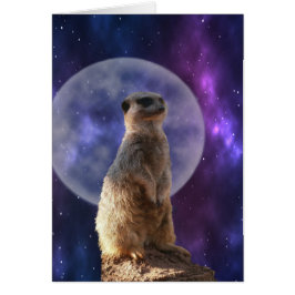 Meerkat auf Blue Full Moon Night,