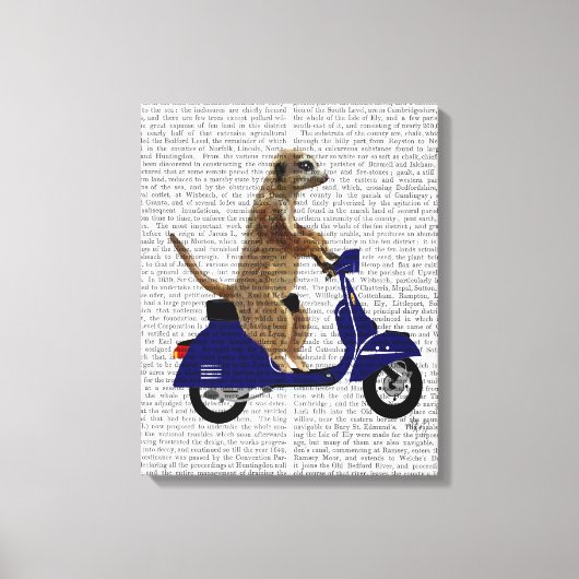 Meerkat auf Dark Blue Moped Leinwanddruck (Vorderseite)