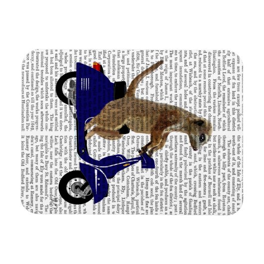 Meerkat auf Dark Blue Moped Magnet (Horizontal)