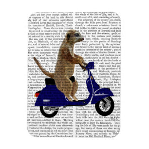 Meerkat auf Dark Blue Moped Magnet