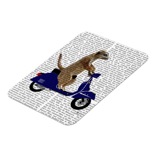 Meerkat auf Dark Blue Moped Magnet (Linke Seite)