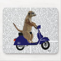 Meerkat auf Dark Blue Moped