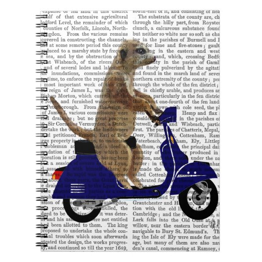 Meerkat auf Dark Blue Moped Notizblock (Vorderseite)