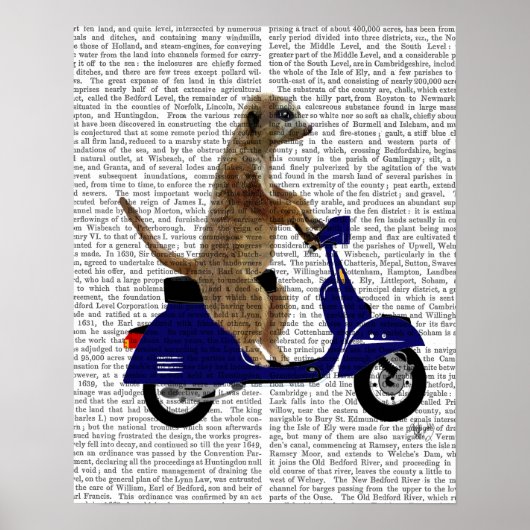Meerkat auf Dark Blue Moped Poster (Vorne)