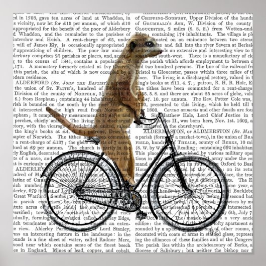 Meerkat auf dem Fahrrad Poster (Vorne)