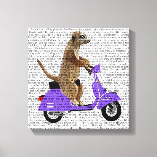 Meerkat auf Lilac Moped Leinwanddruck (Vorderseite)