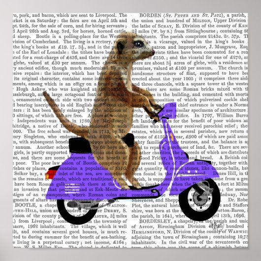 Meerkat auf Lilac Moped Poster (Vorne)