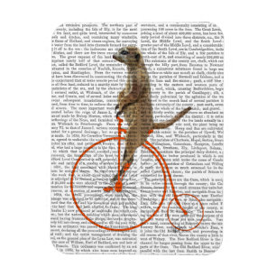 Meerkat auf Orange Penny Farthing Magnet