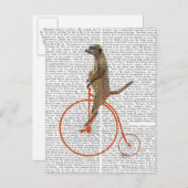 Meerkat auf Orange Penny Farthing Postkarte (Vorne/Hinten)