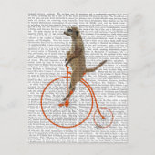 Meerkat auf Orange Penny Farthing Postkarte (Vorderseite)