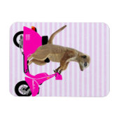 Meerkat auf rosa Moped 2 Magnet (Horizontal)