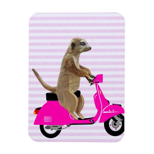 Meerkat auf rosa Moped 2 Magnet (Vertikal)