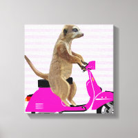 Meerkat auf rosa Moped
