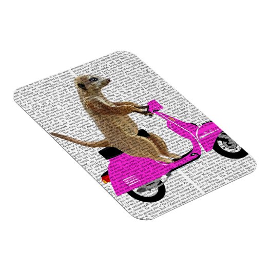 Meerkat auf rosa Moped Magnet (Rechte Seite)