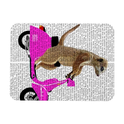 Meerkat auf rosa Moped Magnet (Horizontal)