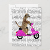 Meerkat auf rosa Moped Postkarte (Vorne/Hinten)