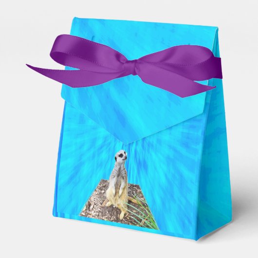 Meerkat auf Schwammblau, Geschenkschachtel (Vorderseite)