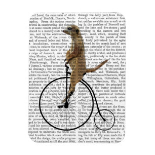 Meerkat auf schwarzem Penny-Farthing Magnet