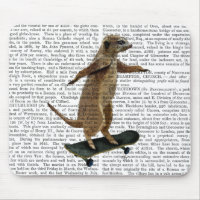 Meerkat auf Skateboard 2