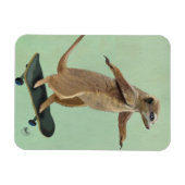 Meerkat auf Skateboard 3 Magnet (Horizontal)