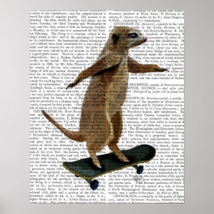 Meerkat auf Skateboard Poster