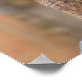 Meerkat-Auftrittspender Poster (Ecke)