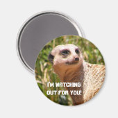 Meerkat-Aussehen Magnet (Vorderseite/Rückseite)