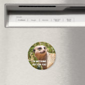 Meerkat-Aussehen Magnet (In Situ (Geschirrspüler))