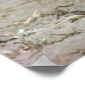 Meerkat Baby Sitter und Jungtiere (Suricata Surica Poster (Ecke)