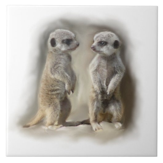 meerkat Babys Fliese (Vorderseite)