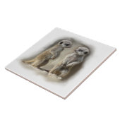 meerkat Babys Fliese (Seite)