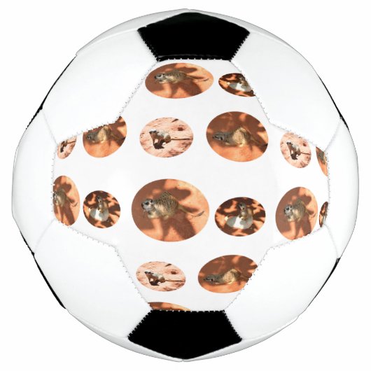 Meerkat Ball Shape, Fußball (Vorderseite)