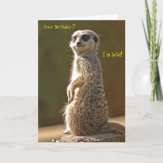 Meerkat Belated Birthday Card Karte (Vorderseite)