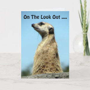Meerkat Birthday Card Karte